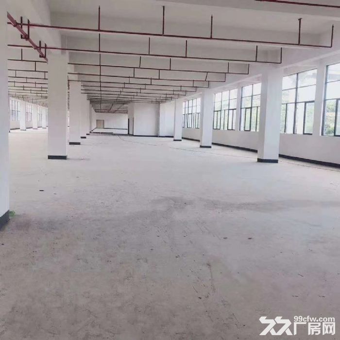 带卸货平台 丙二类消防，凤岗全新独院厂房出租 电商仓库4万平-图4