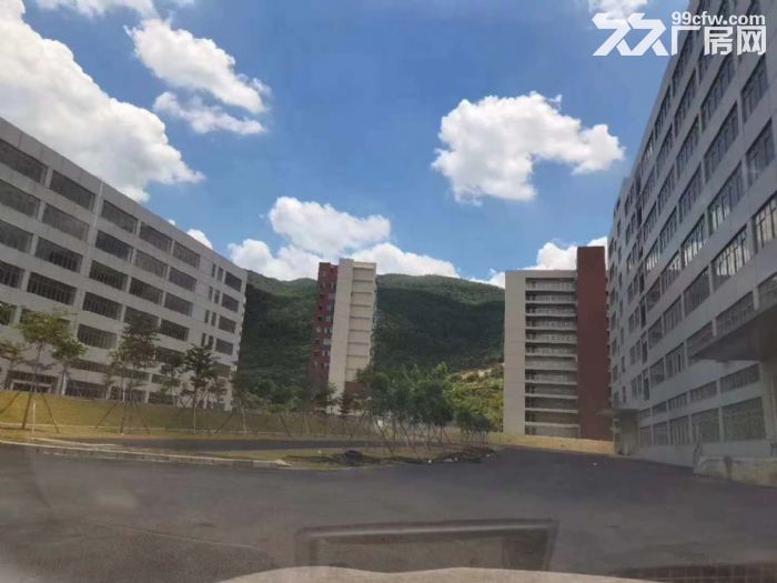 带卸货平台 丙二类消防，凤岗全新独院厂房出租 电商仓库4万平-图5