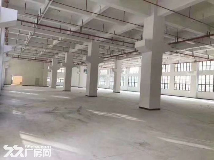 带卸货平台 丙二类消防，凤岗全新独院厂房出租 电商仓库4万平-图7