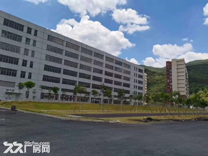 带卸货平台 丙二类消防，凤岗全新独院厂房出租 电商仓库4万平-图6