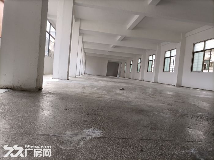 大朗镇一楼厂房出租。一楼750平方。可以做小污染行业，交通方便，-图2