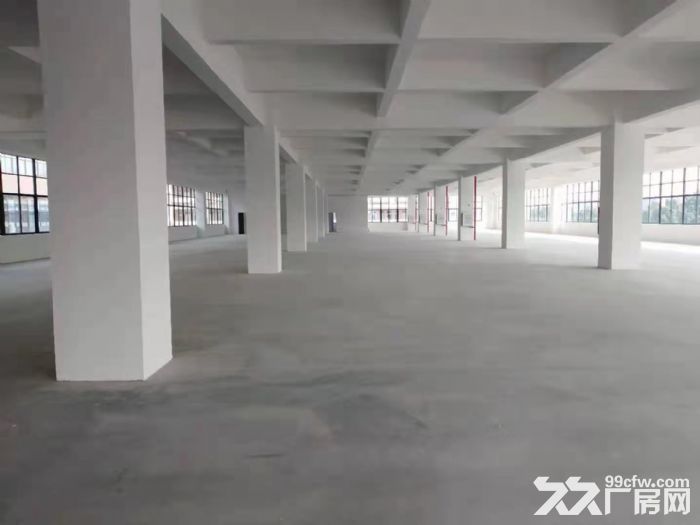 茶山全新重工业标准厂房-图1