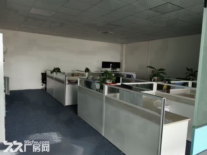 凤岗工业区空出楼上新厂房2600平方，全新地坪漆带装修-图4