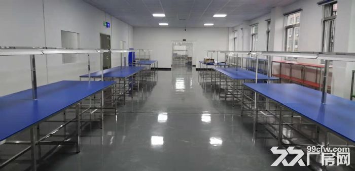 标准厂房二楼2200平方出租-图2