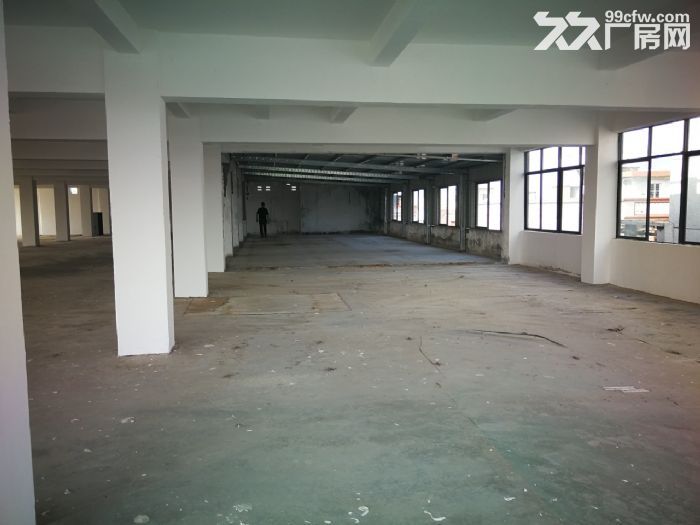 单一层厂房 仓库出租 钢构厂房 工业用地 便宜厂房 空地大 标准厂房-图3