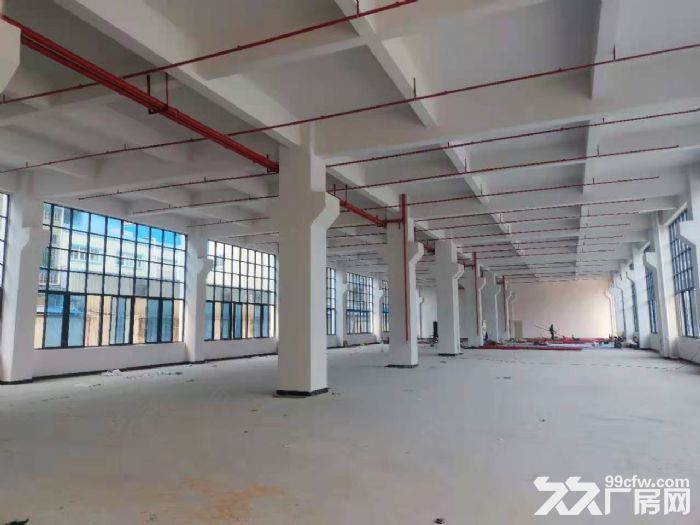 茶山原房东新建标准独院厂房出租-图3