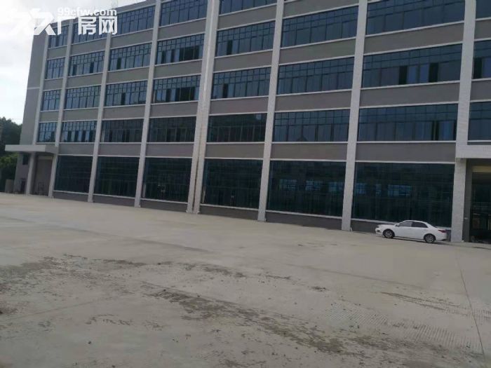 茶山原房东新建标准独院厂房出租-图2