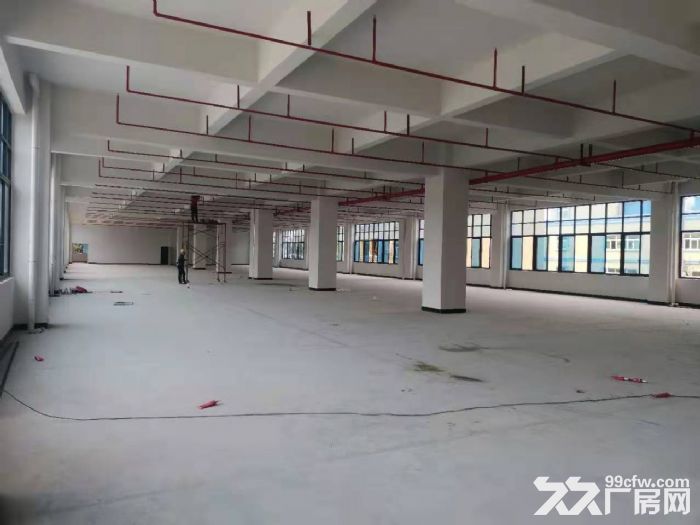 茶山原房东新建标准独院厂房出租-图4