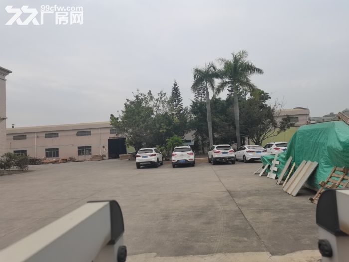 寮步超大空地砖墙到顶单一层独院出租-图2