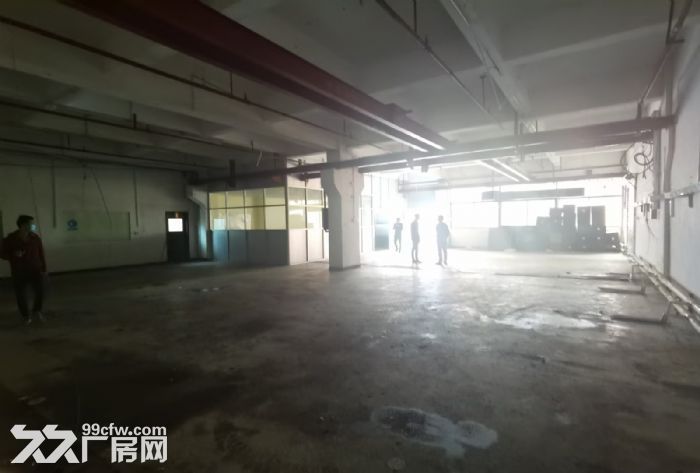 小面积注塑五金模具加工厂房出租一楼500平方 凤岗靠近沙岭车-图4