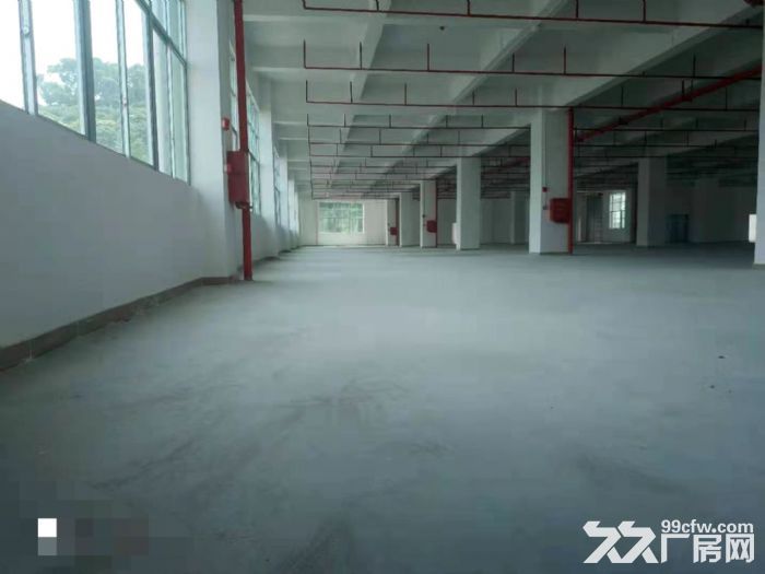 靠东深二线仓库纸箱包装厂房出租楼上整层2200平 带消防喷淋-图1