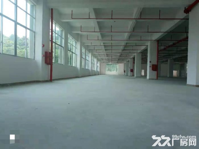 靠东深二线仓库纸箱包装厂房出租楼上整层2200平 带消防喷淋-图2