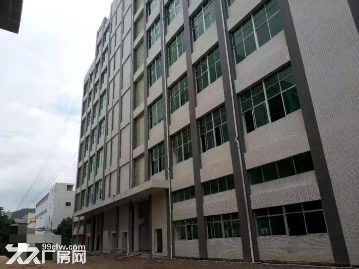 靠东深二线仓库纸箱包装厂房出租楼上整层2200平 带消防喷淋-图4