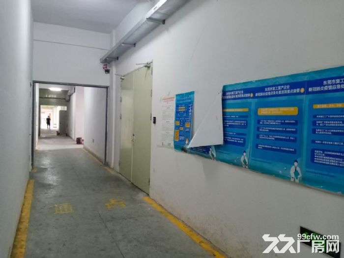 适电子 五金 手袋 毛刷 雁田布心楼上600平现成精装修出租-图2