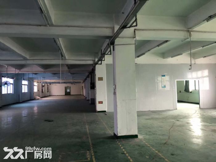 凤岗雁田布心南山工业区，楼上厂房出租1500平，入驻即可生产-图1