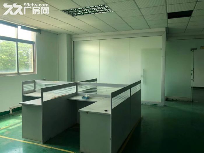 凤岗雁田布心南山工业区，楼上厂房出租1500平，入驻即可生产-图3