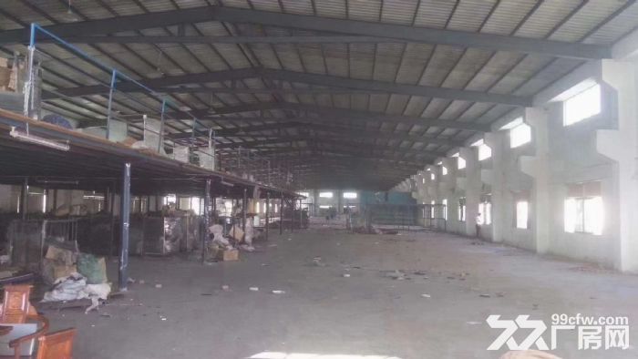 塘厦桥陇 砖墙到顶独栋钢构6000平出租，滴水7米，可办环评-图3