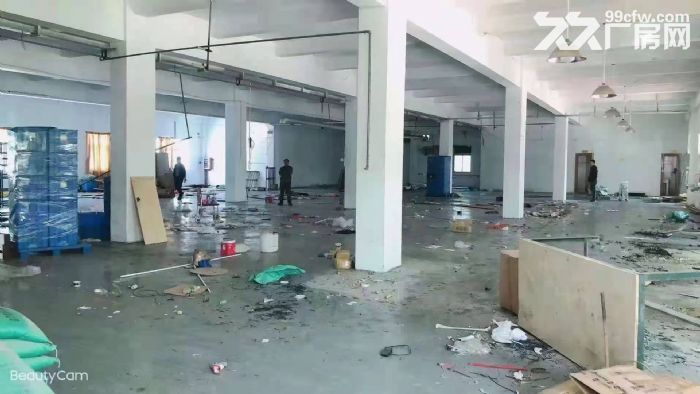 免租期长 塘厦外环高速 石鼓独院厂房出租4200平 好招工-图1