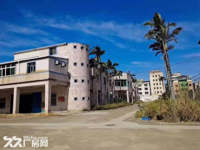 免租期长 塘厦外环高速 石鼓独院厂房出租4200平 好招工-图3