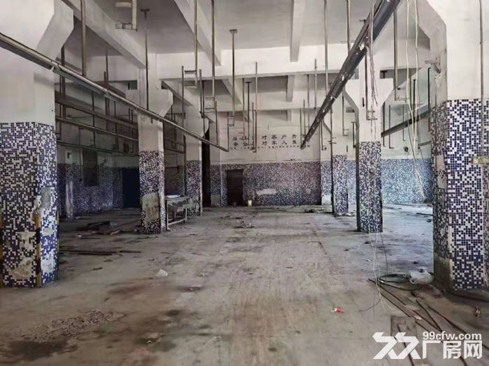 免租期长 塘厦外环高速 石鼓独院厂房出租4200平 好招工-图2