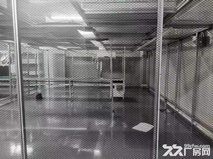 凤岗现成全新无尘车间出租640平 无转让费 拎包即可入驻生产-图8
