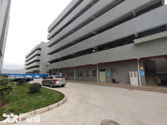 塘厦石马电商 电子装配 玩具 制衣厂房出有租2200平观兰-图4