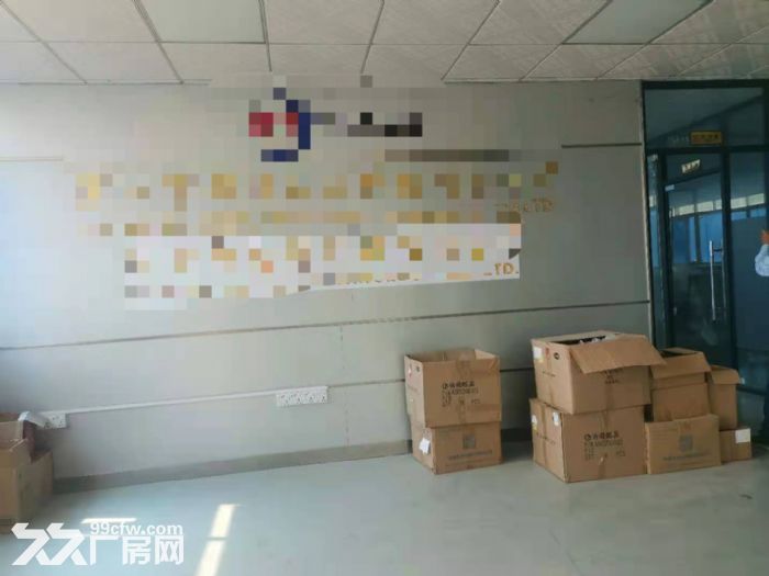 林村太阳城，电商贸易仓库门装配 轻加工厂房出租1400平-图4