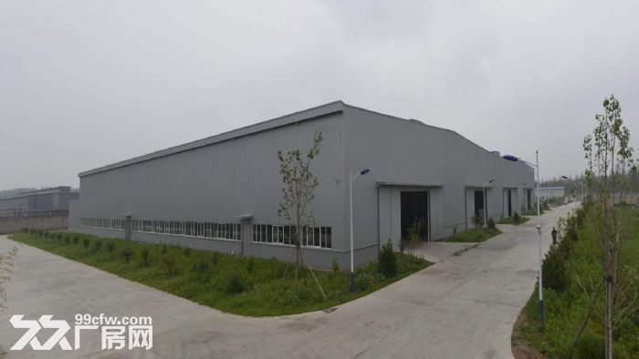 东莞市塘厦镇７６０００平米一楼厂房出租 (可分租)-图1