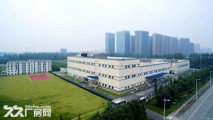 东莞市凤岗镇８００００平米一楼厂房出租 (可分租)-图1