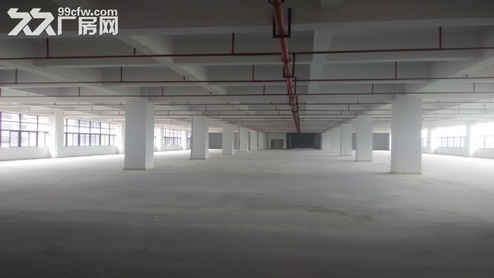 东莞市凤岗镇１２０００平米一楼厂房出租 (可分租)-图2