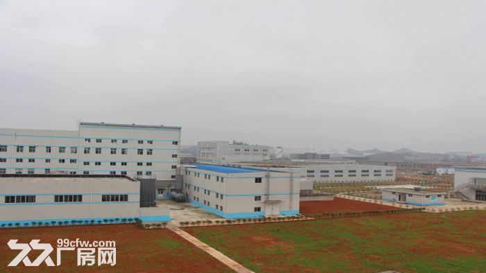 东莞市塘厦镇１５０００平米一楼厂房出租 (可分租)-图2