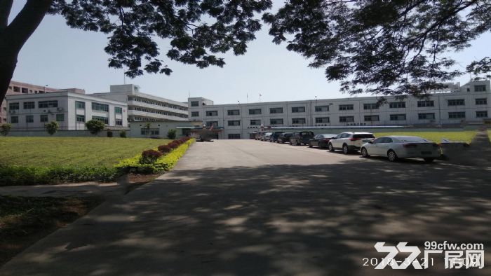 东莞市清溪镇４００００平米一楼厂房出租 (可分租)-图1