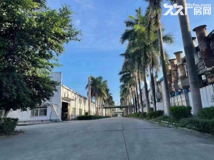 空地大，大岭山石大路 单一层独院钢构厂房出租 大小可分租-图3