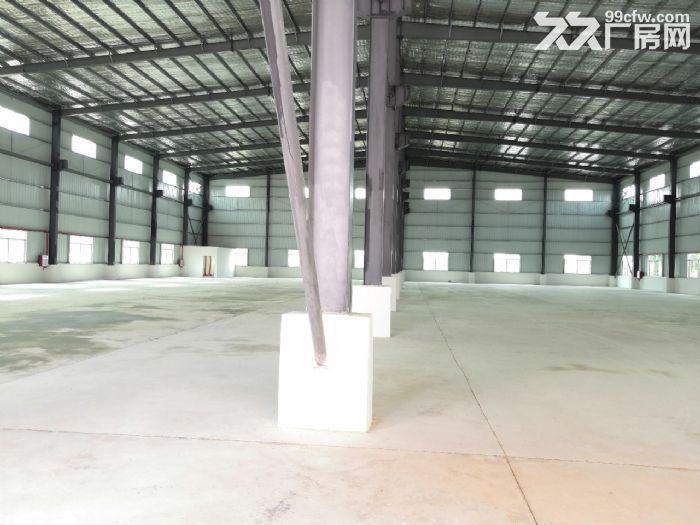 独院钢构厂房 仓库出租 带红本 可办环评 1楼厂房 东莞独院-图4