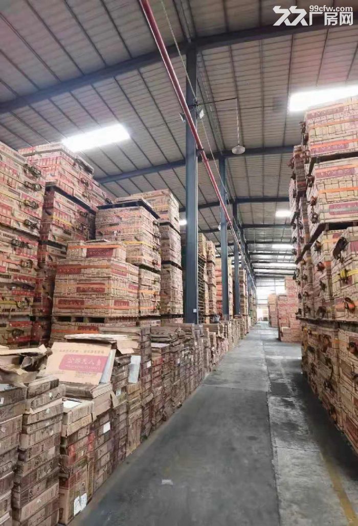 桥头镇新出原房东单一层8米钢构厂房1350平方20元每平方-图1