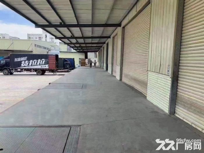 塘厦科宛城物流园钢构厂房出租17000平 10米高带卸货平台-图3