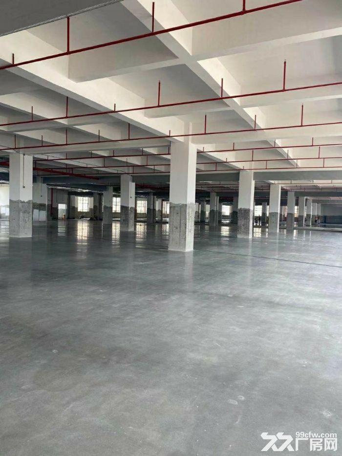 独门独院红本厂房 分租厂房 楼上厂房 工业楼房 可办环评-图4