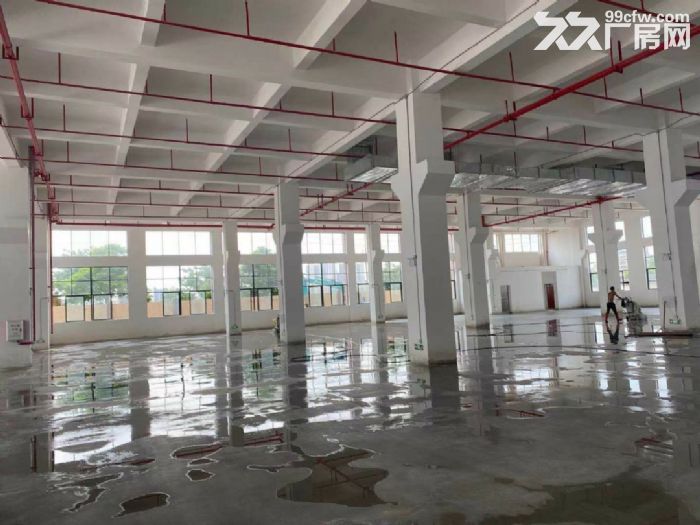 独门独院红本厂房 分租厂房 楼上厂房 工业楼房 可办环评-图2