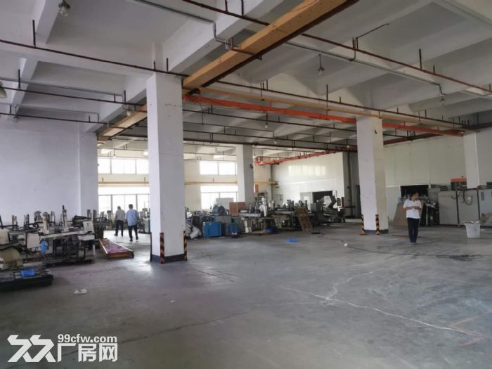 塘厦科苑城原房东标准独院，花园式厂房-图5