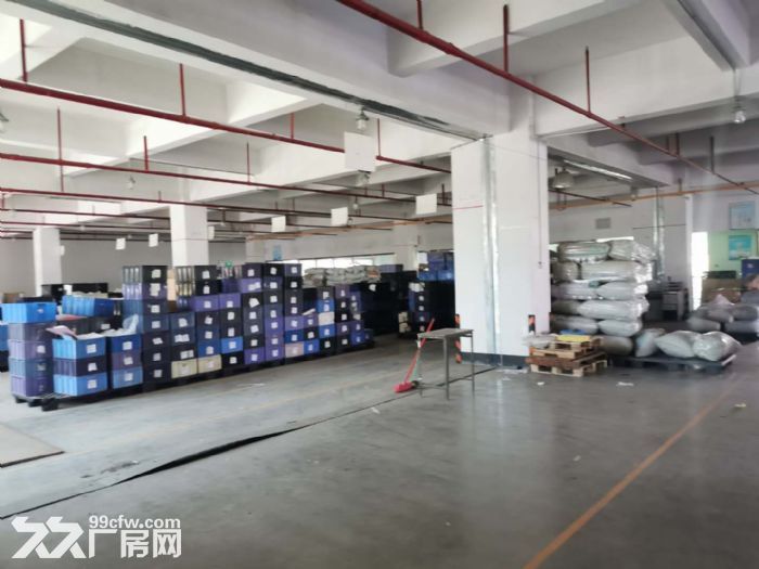 塘厦科苑城原房东标准独院，花园式厂房-图6