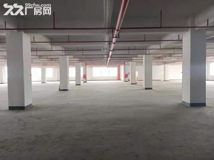 竹塘科技园电商仓库带卸货平台厂房出租楼上5060平米 空地大-图2