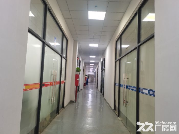 带吊顶装修凤岗科技园厂房出租楼上700平方 地坪漆配套齐全-图2