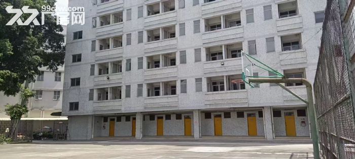 凤岗雁田原房东实际面积厂房出租楼上4500平方 空地大好招工-图4