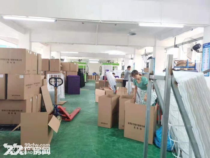 雁田镇田南路带装修纸盒包装仓库厂房出租二楼500平方 有货梯-图2