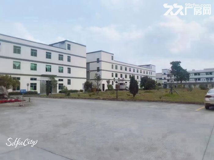 业主厚街溪头28000㎡独院标准带宿舍办公室厂房招租可分租-图2