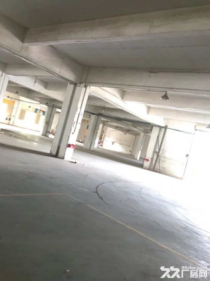 业主厚街溪头28000㎡独院标准带宿舍办公室厂房招租可分租-图4