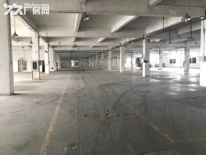 业主厚街溪头28000㎡独院标准带宿舍办公室厂房招租可分租-图5
