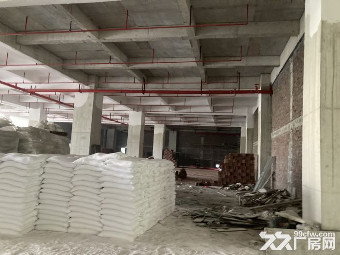 业主厚街溪头28000㎡独院标准带宿舍办公室厂房招租可分租-图6