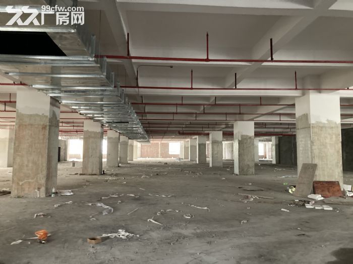 业主厚街溪头28000㎡独院标准带宿舍办公室厂房招租可分租-图8