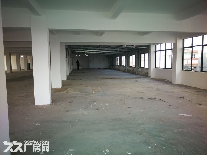 东莞厂房出租 钢构单一层厂房 横沥钢构厂房 企石厂房-图3